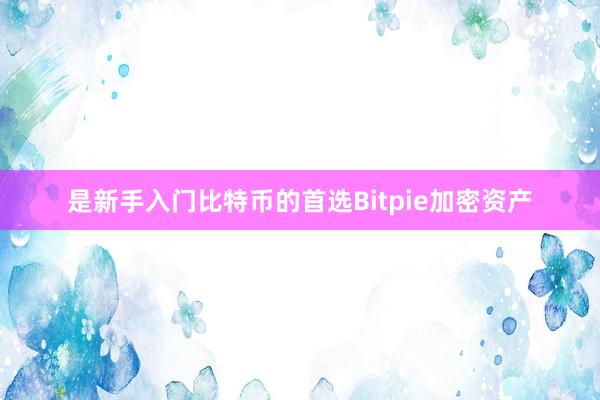 是新手入门比特币的首选Bitpie加密资产