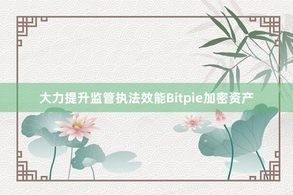 大力提升监管执法效能Bitpie加密资产