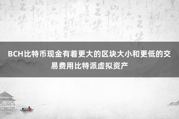 BCH比特币现金有着更大的区块大小和更低的交易费用比特派虚拟资产