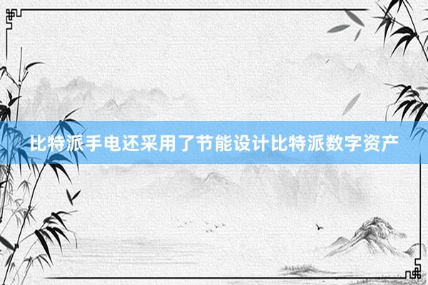 比特派手电还采用了节能设计比特派数字资产