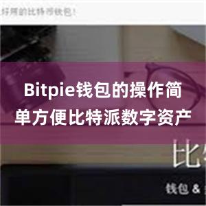 Bitpie钱包的操作简单方便比特派数字资产